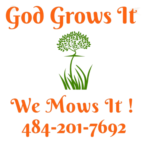 God Grows It